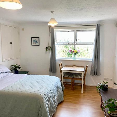 Bright And Comfortable Studio Apartment لندن المظهر الخارجي الصورة